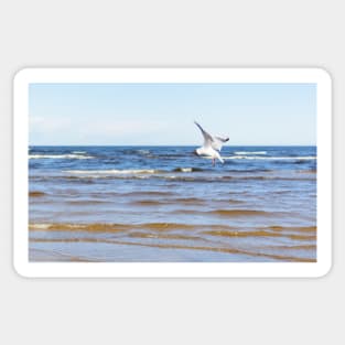 White seagull flying above the water to the left with its wings open Sticker